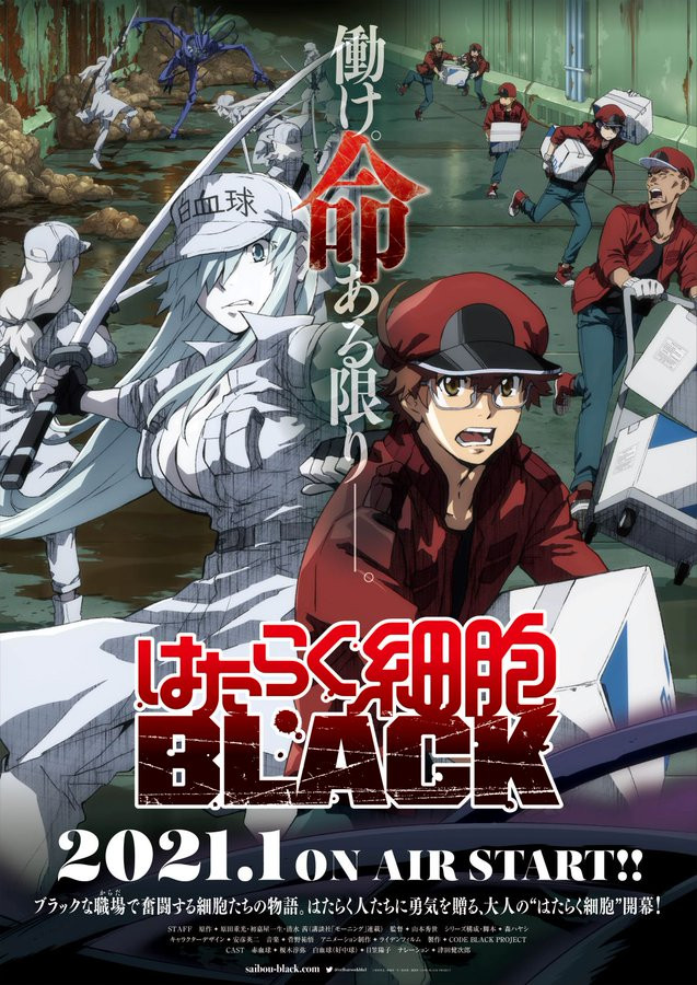 Key visual for Winter 2021 anime Cells at Work BLACK (Hataraku Saibou BLACK)